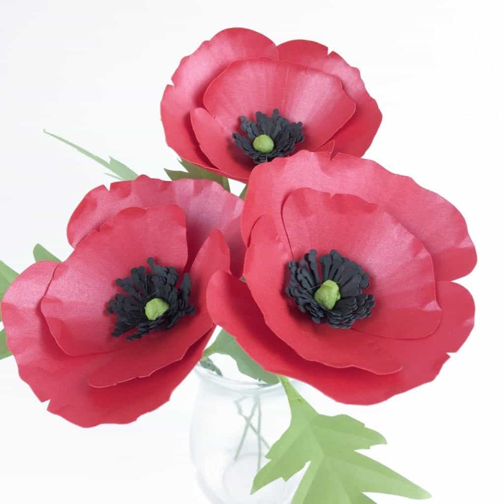 poppy paper flower template