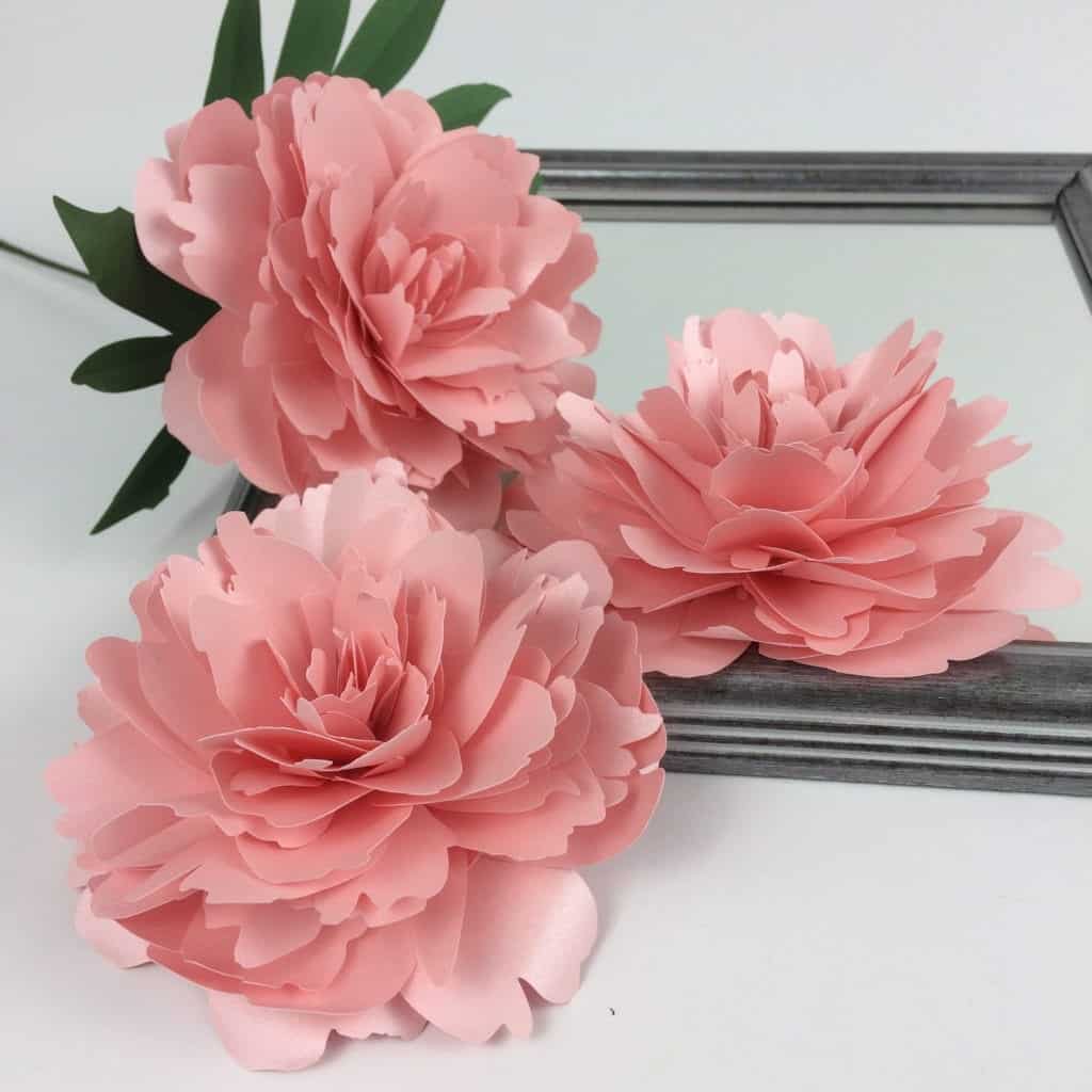 paper peony