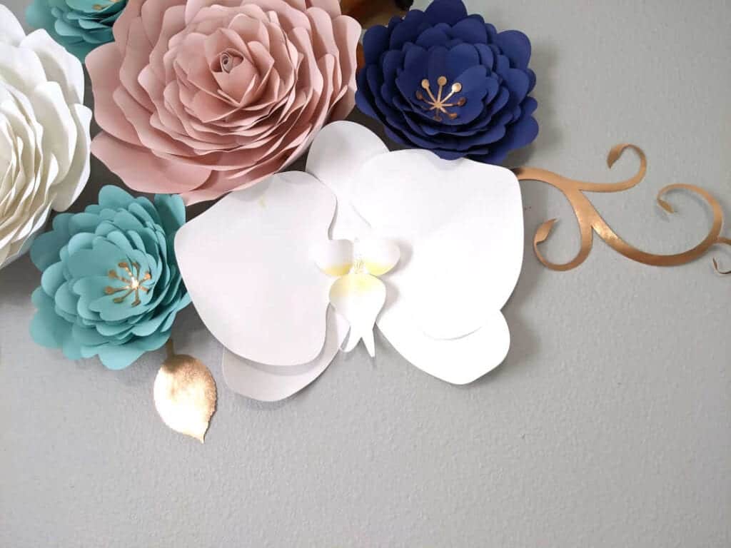 giant paper orchid